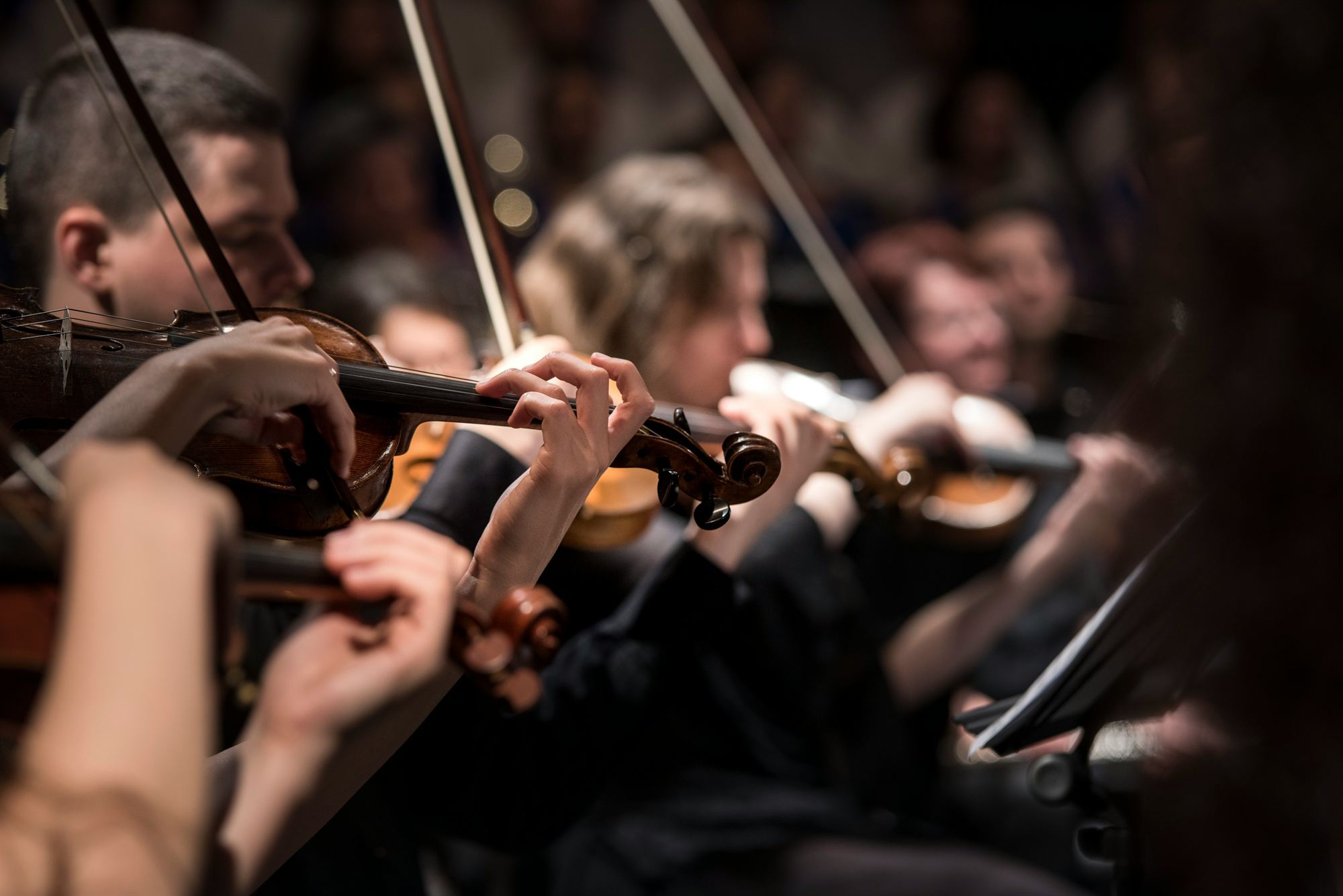 Naipe de cordas de uma orquestra tocando em sincronia durante apresentação